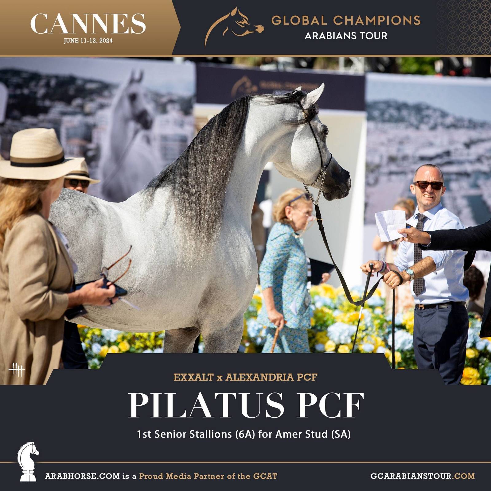Photos: 2024 Qualifying Classes | Global Champions Arabians Tour Cannes