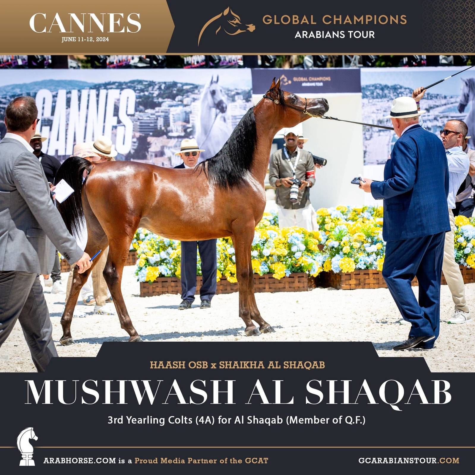 Photos: 2024 Qualifying Classes | Global Champions Arabians Tour Cannes