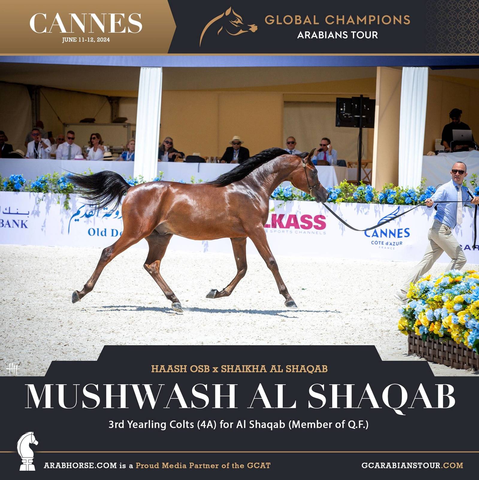 Photos: 2024 Qualifying Classes | Global Champions Arabians Tour Cannes