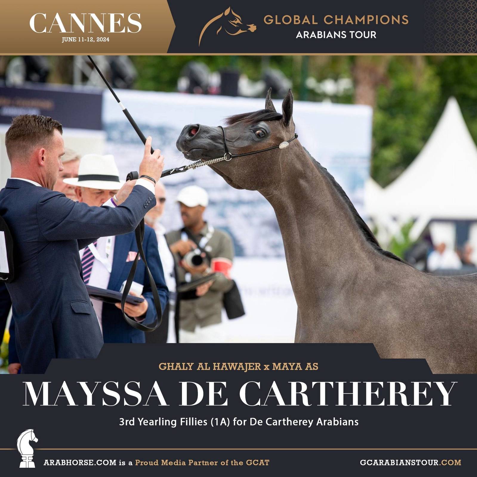 Photos: 2024 Qualifying Classes | Global Champions Arabians Tour Cannes
