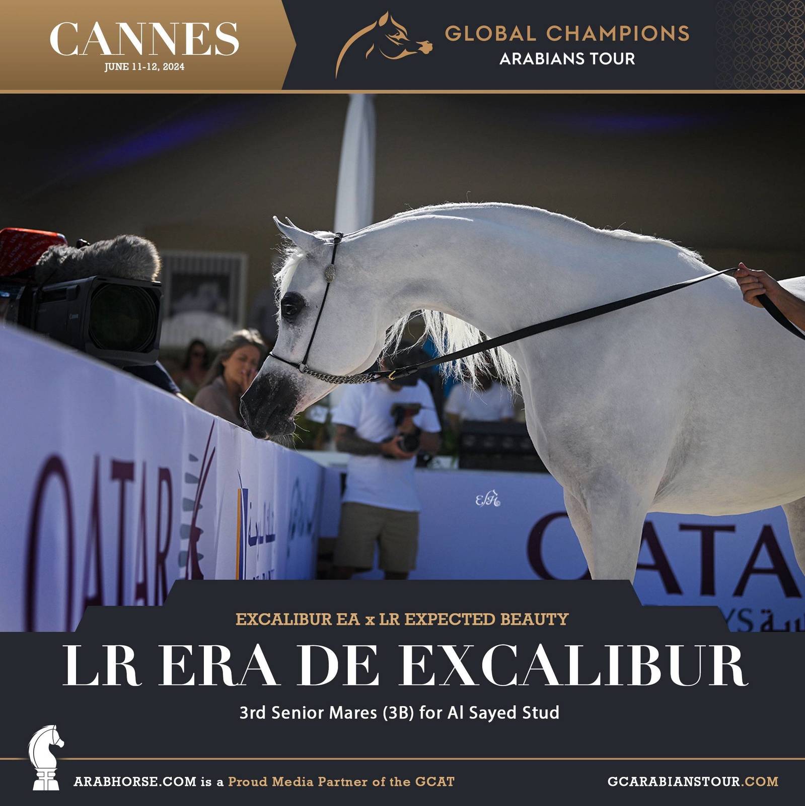 Photos: 2024 Qualifying Classes | Global Champions Arabians Tour Cannes