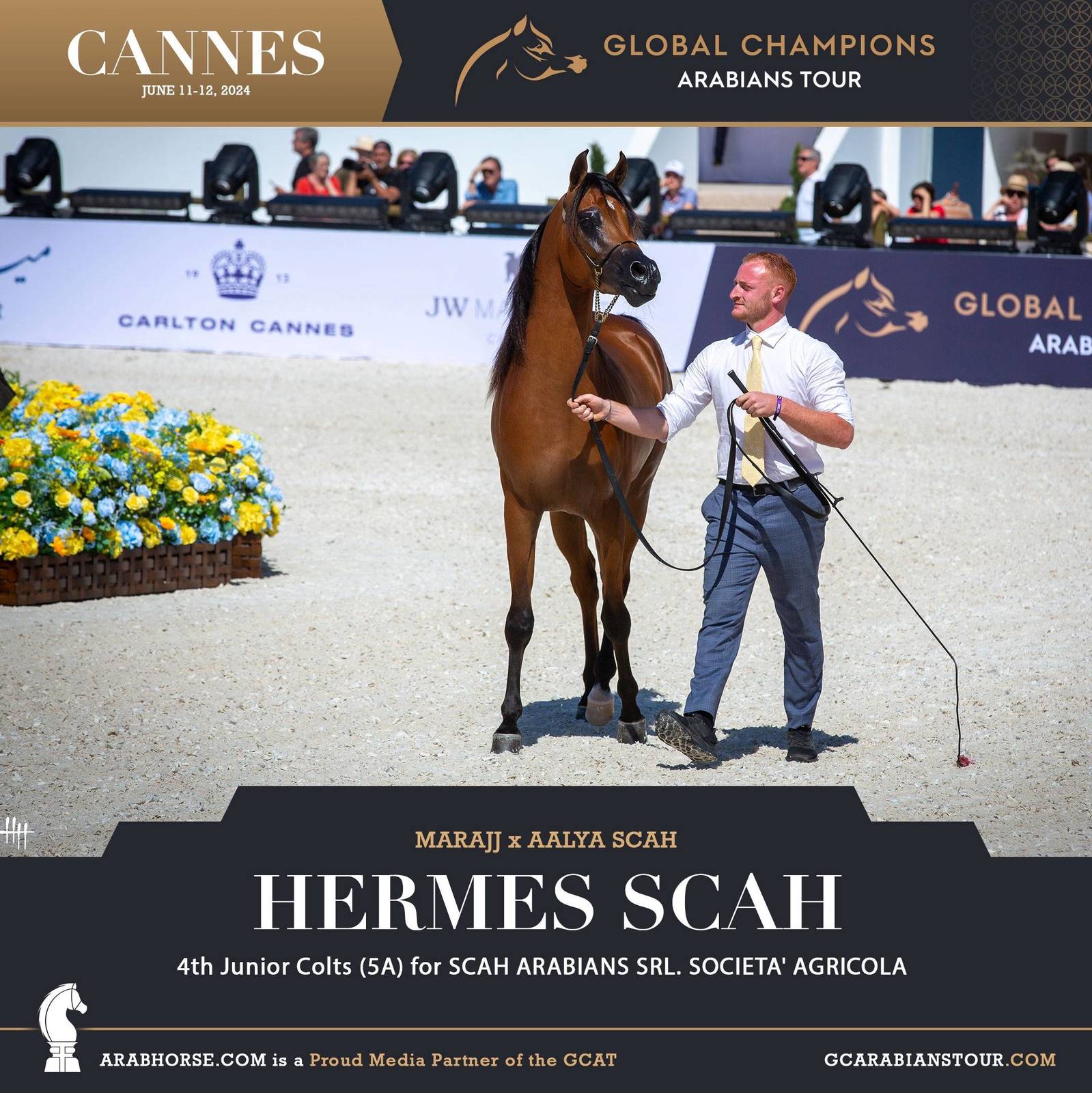 Photos: 2024 Qualifying Classes | Global Champions Arabians Tour Cannes