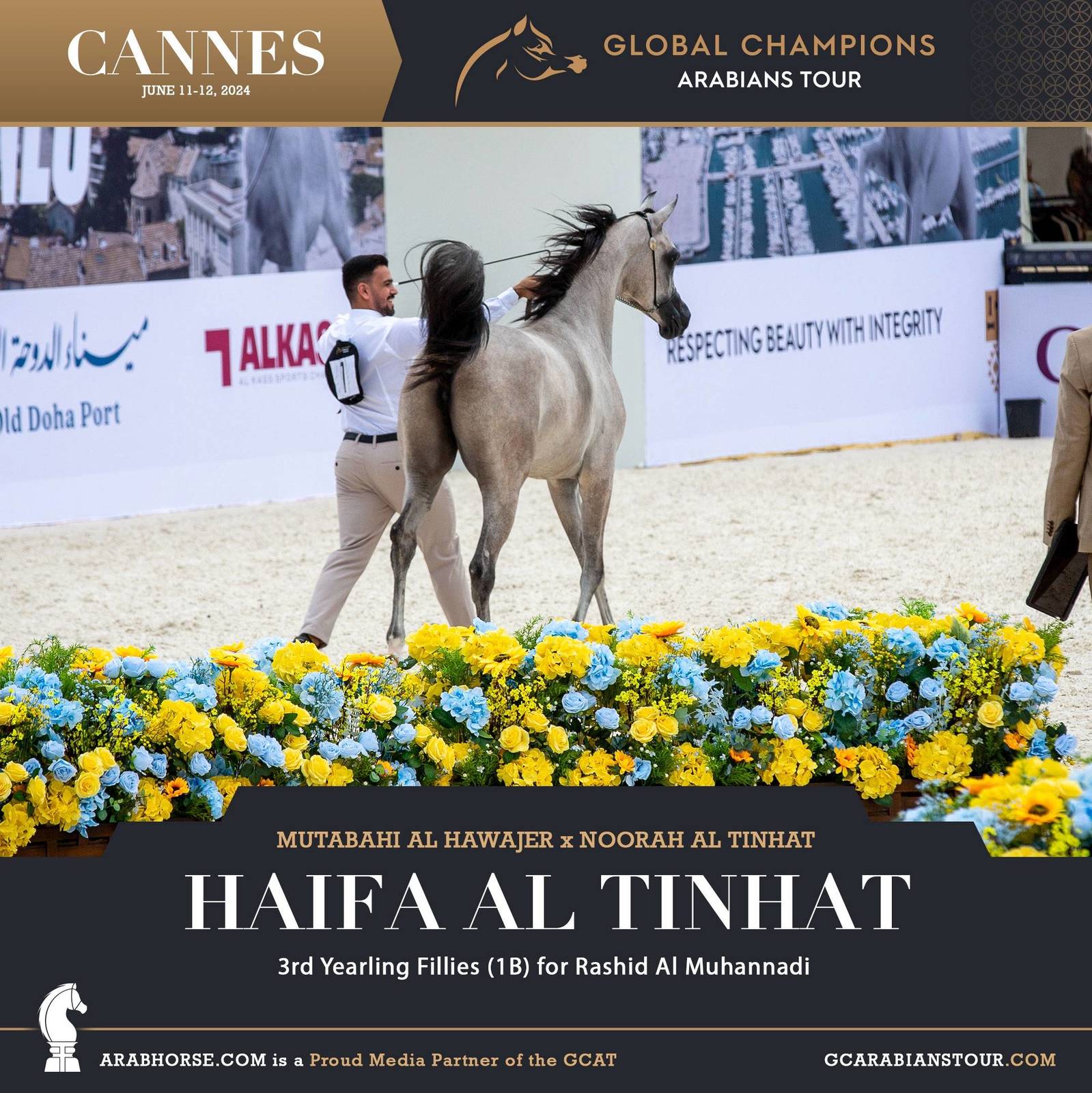 Photos: 2024 Qualifying Classes | Global Champions Arabians Tour Cannes