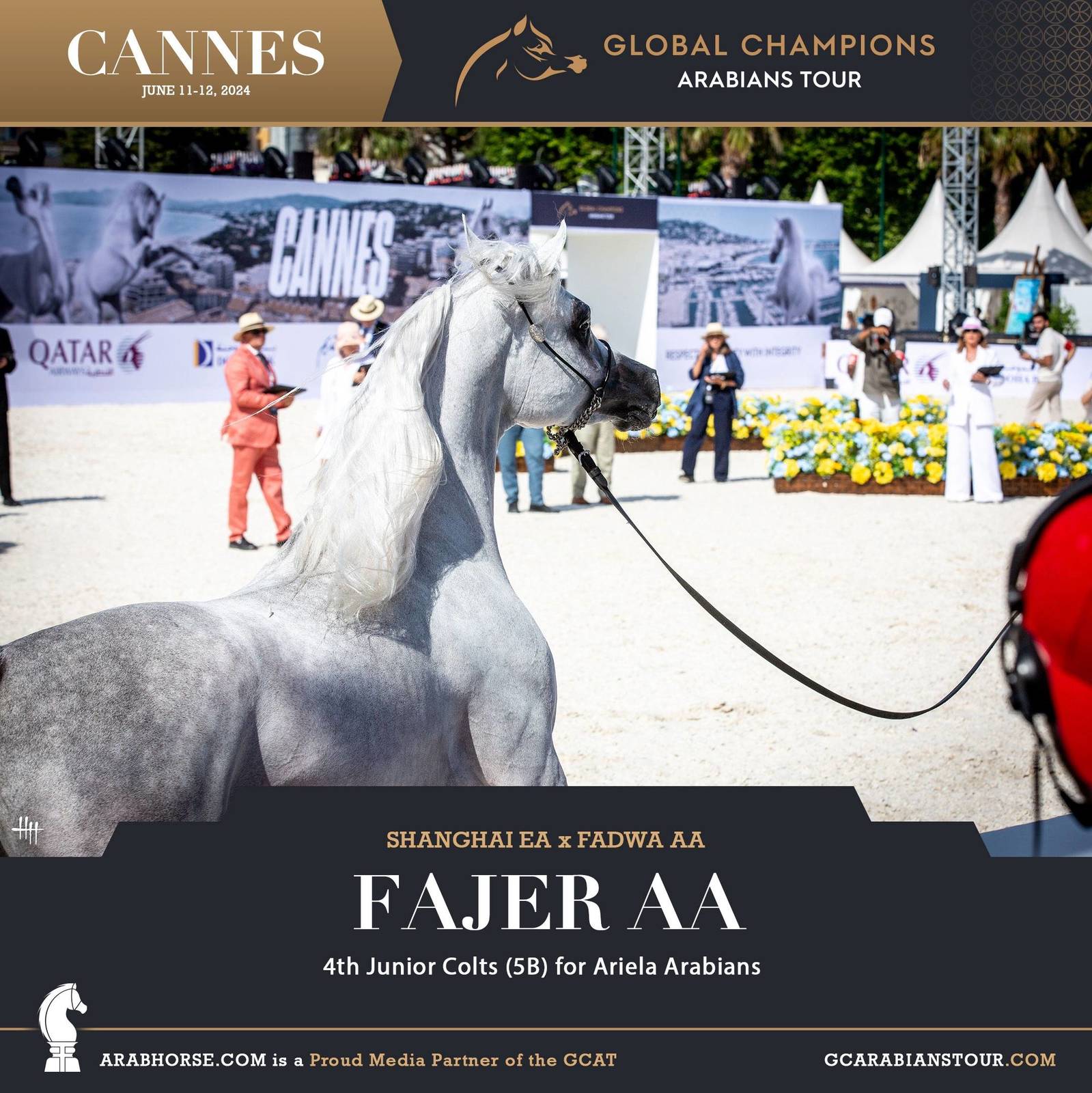 Photos: 2024 Qualifying Classes | Global Champions Arabians Tour Cannes