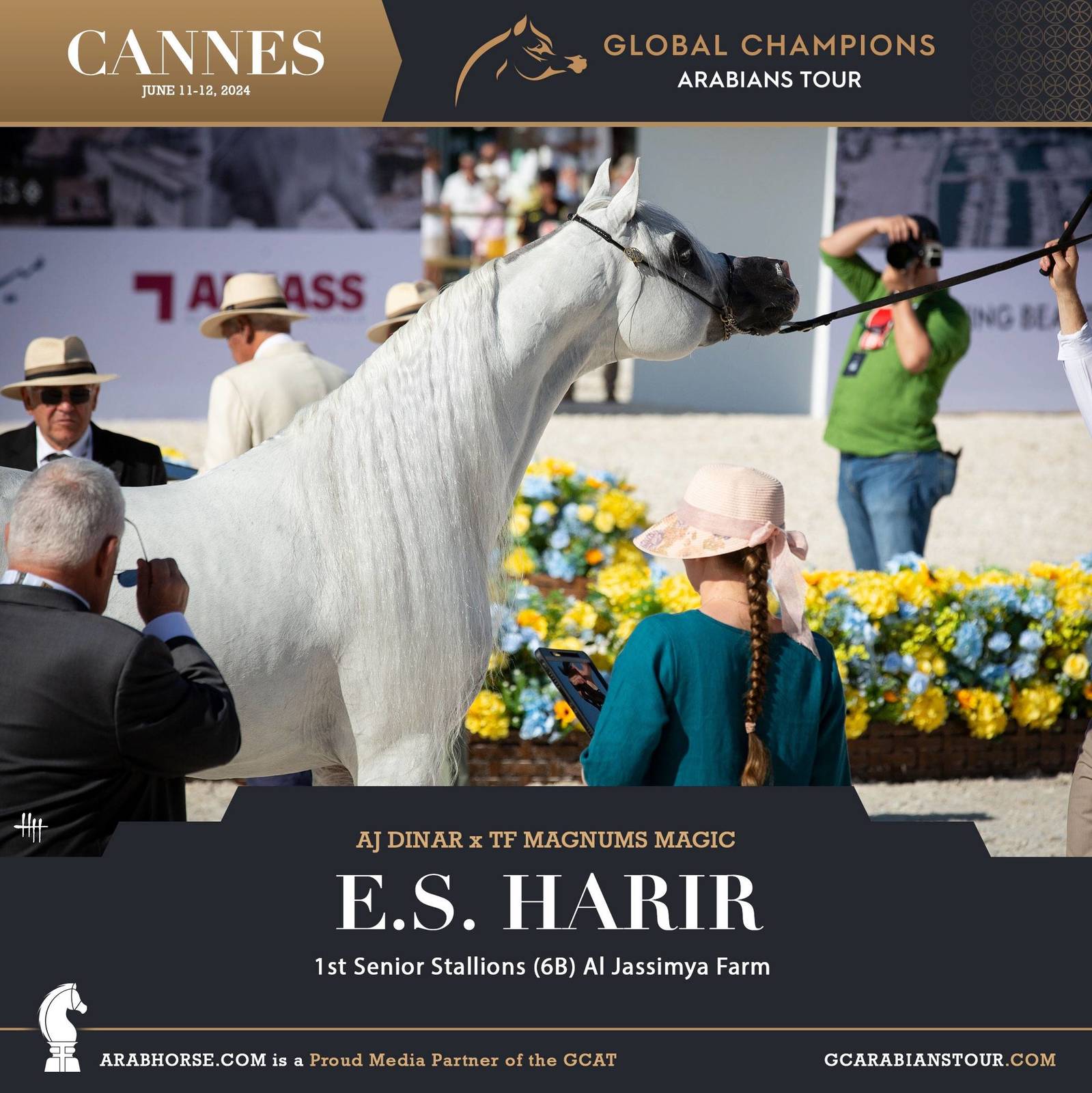 Photos: 2024 Qualifying Classes | Global Champions Arabians Tour Cannes