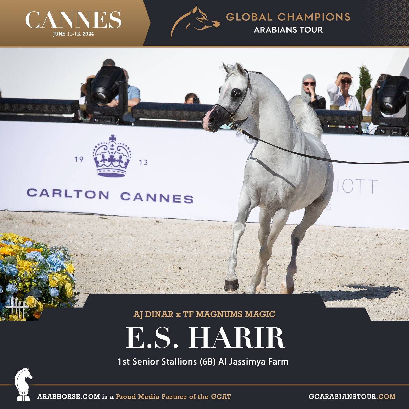 Photos: 2024 Qualifying Classes | Global Champions Arabians Tour Cannes