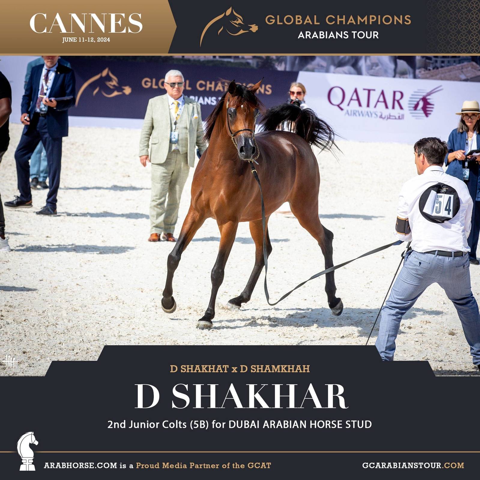 Photos: 2024 Qualifying Classes | Global Champions Arabians Tour Cannes