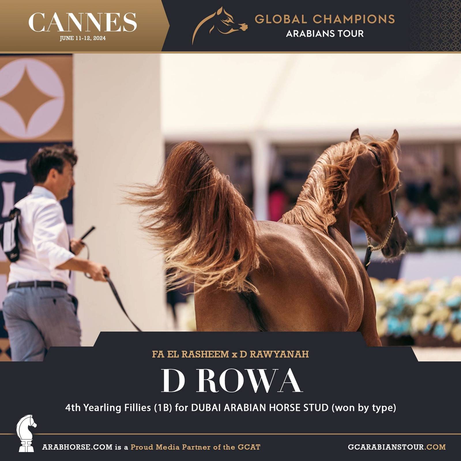 Photos: 2024 Qualifying Classes | Global Champions Arabians Tour Cannes