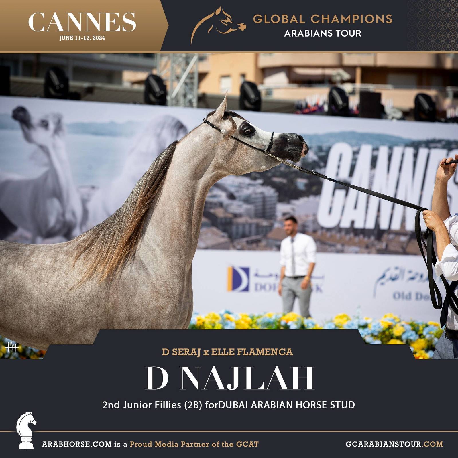 Photos: 2024 Qualifying Classes | Global Champions Arabians Tour Cannes