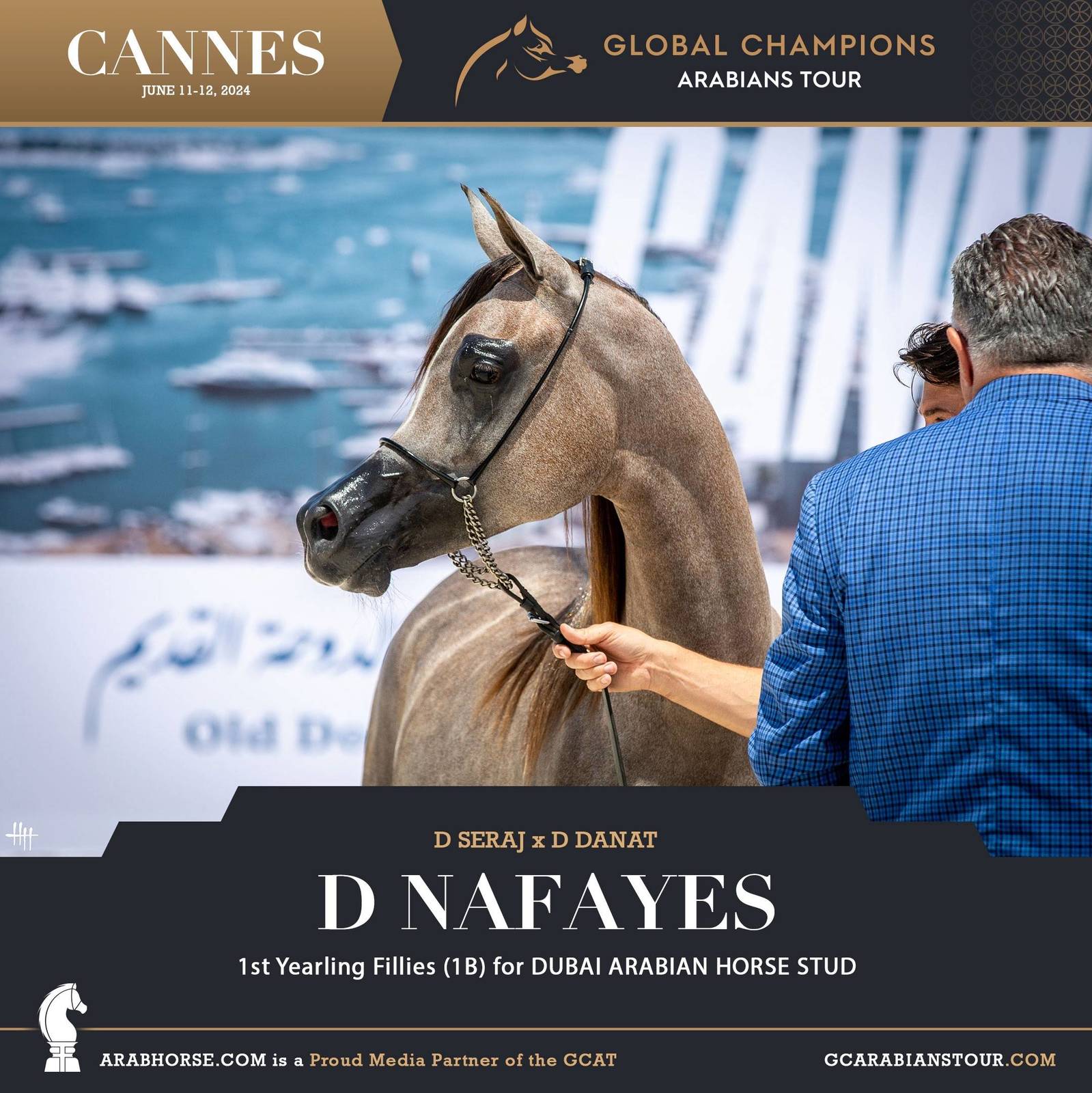 Photos: 2024 Qualifying Classes | Global Champions Arabians Tour Cannes