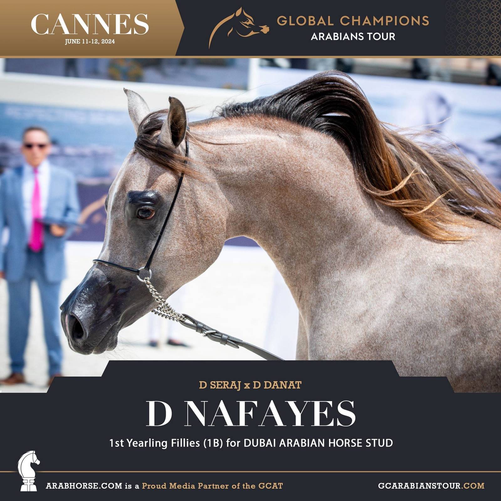 Photos: 2024 Qualifying Classes | Global Champions Arabians Tour Cannes