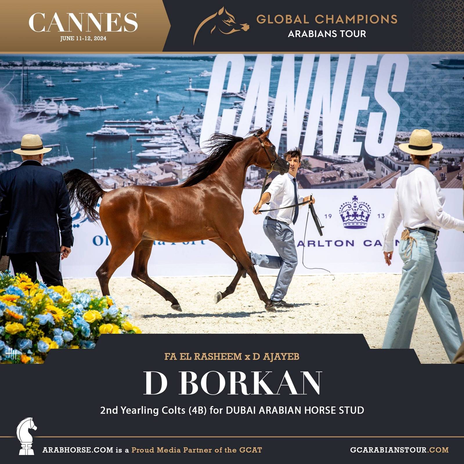Photos: 2024 Qualifying Classes | Global Champions Arabians Tour Cannes