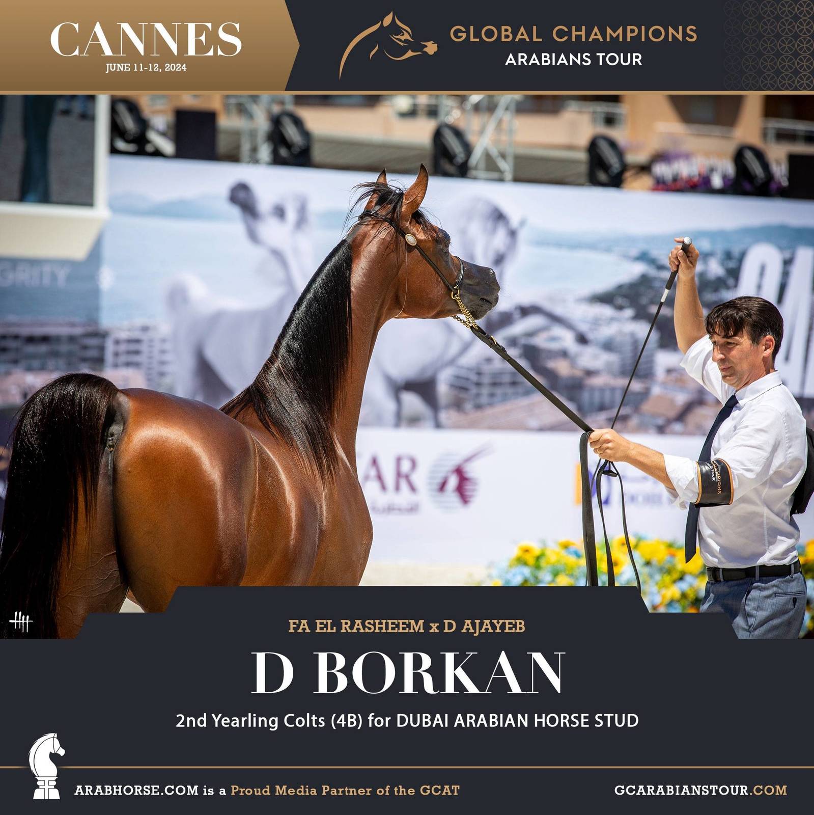 Photos: 2024 Qualifying Classes | Global Champions Arabians Tour Cannes