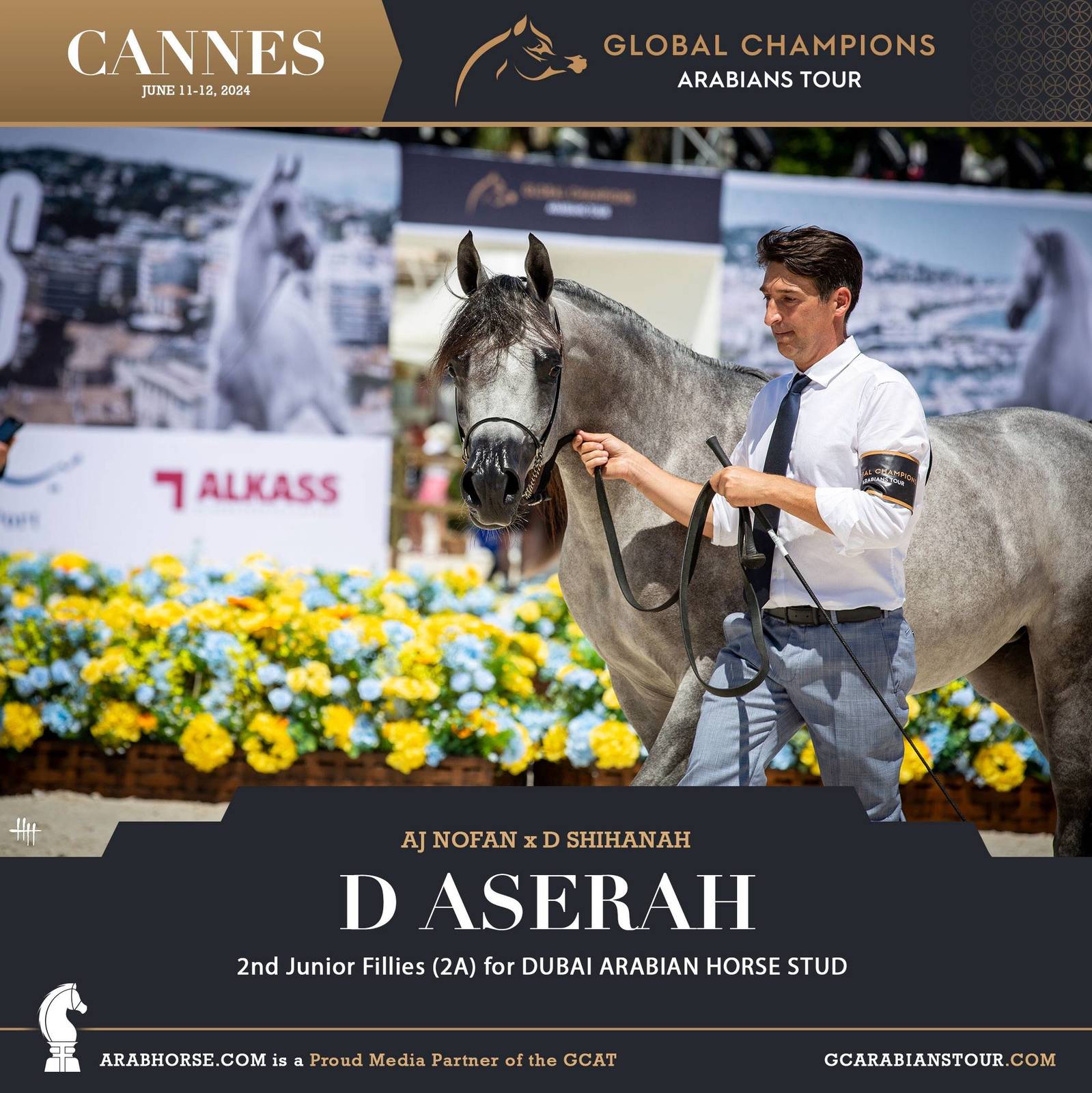 Photos: 2024 Qualifying Classes | Global Champions Arabians Tour Cannes
