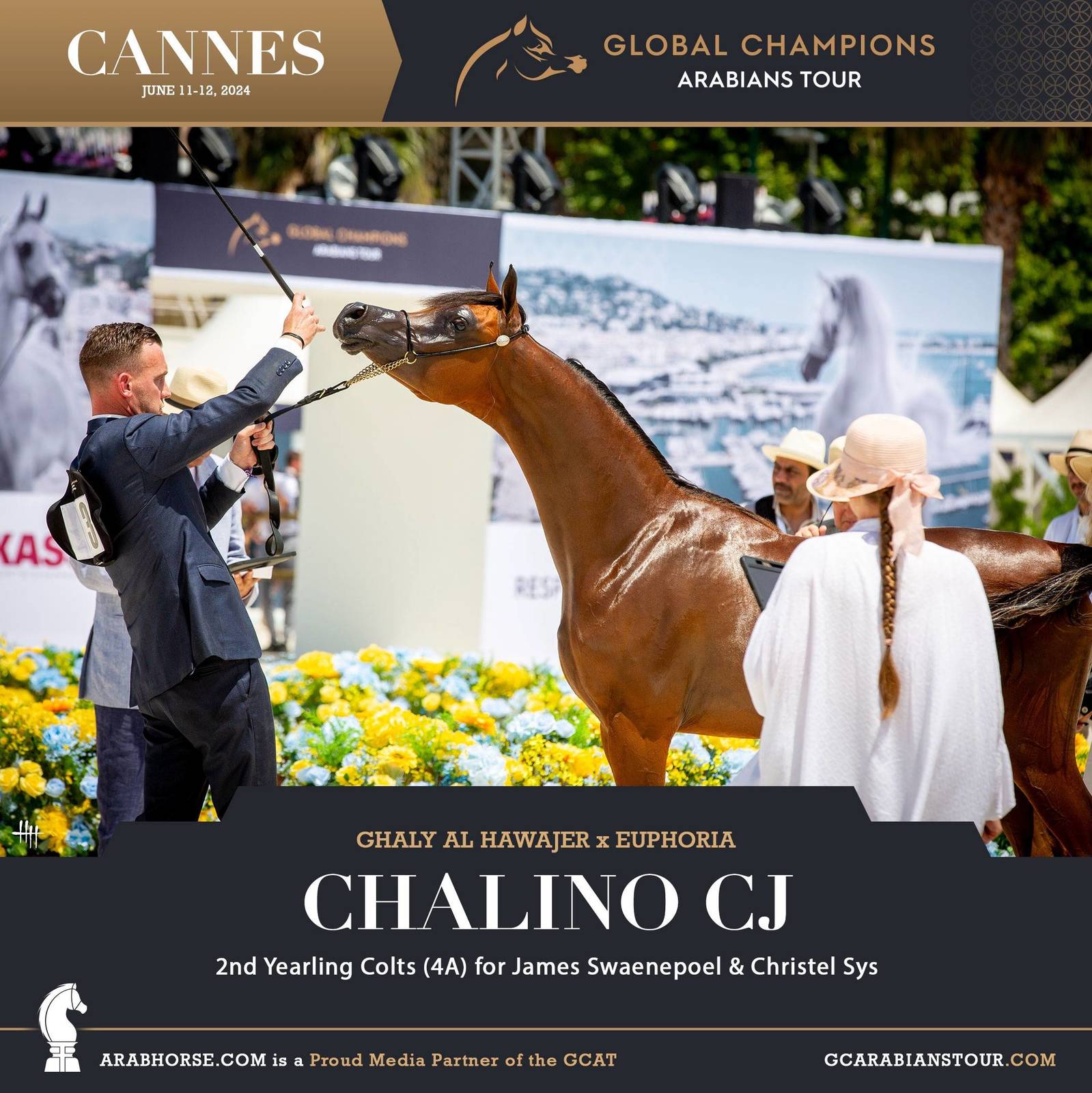 Photos: 2024 Qualifying Classes | Global Champions Arabians Tour Cannes