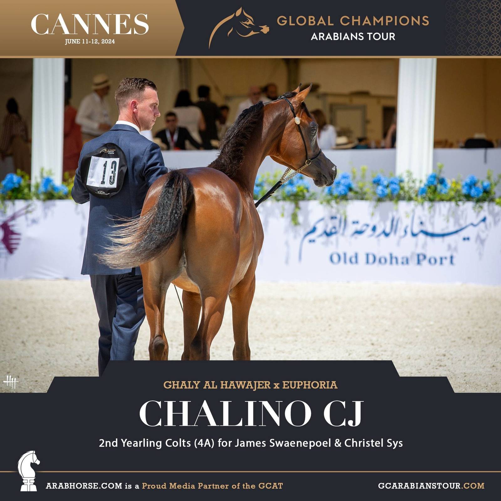 Photos: 2024 Qualifying Classes | Global Champions Arabians Tour Cannes