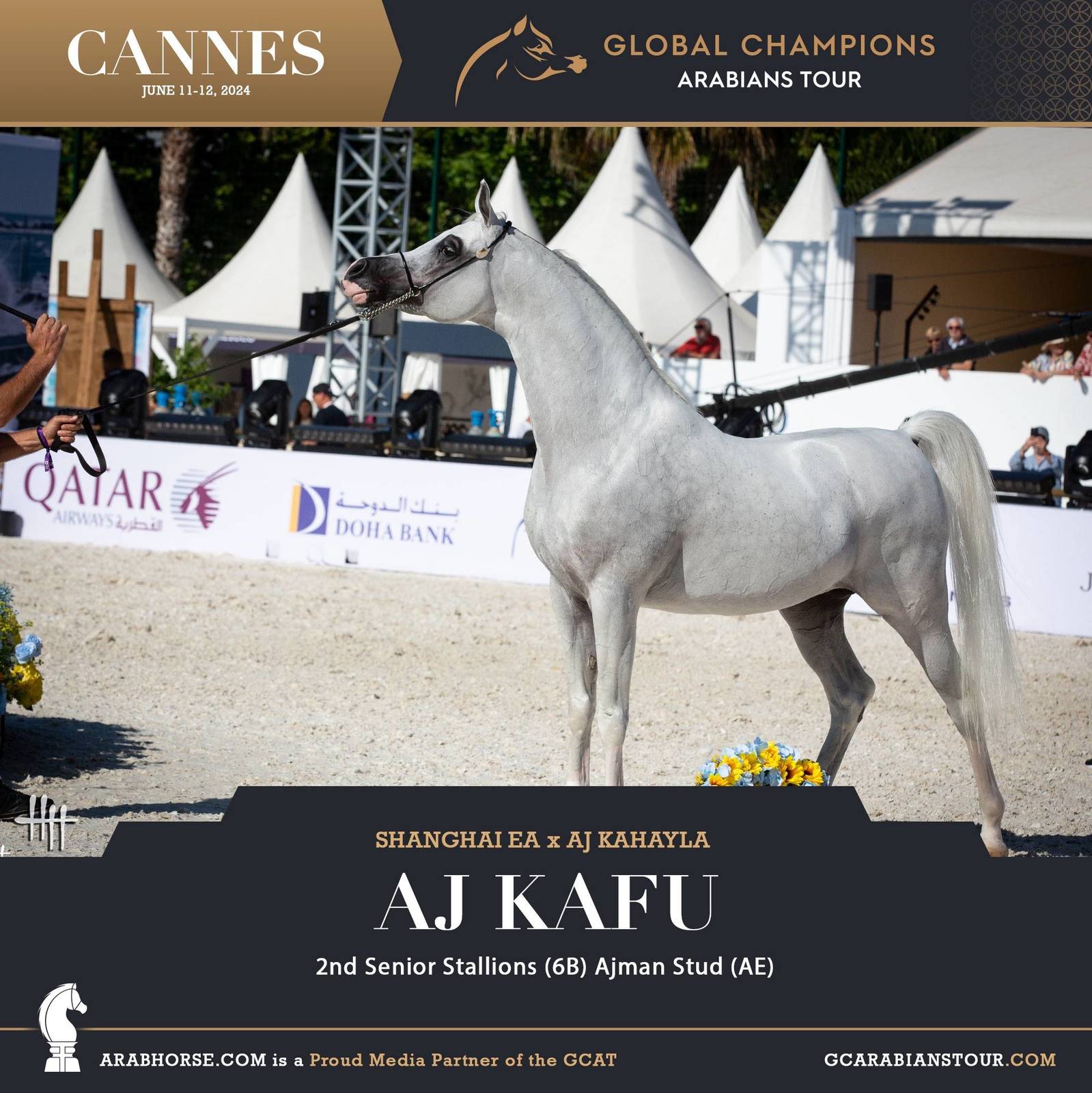 Photos: 2024 Qualifying Classes | Global Champions Arabians Tour Cannes