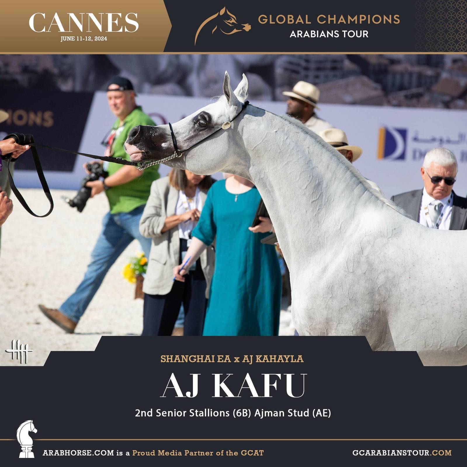 Photos: 2024 Qualifying Classes | Global Champions Arabians Tour Cannes