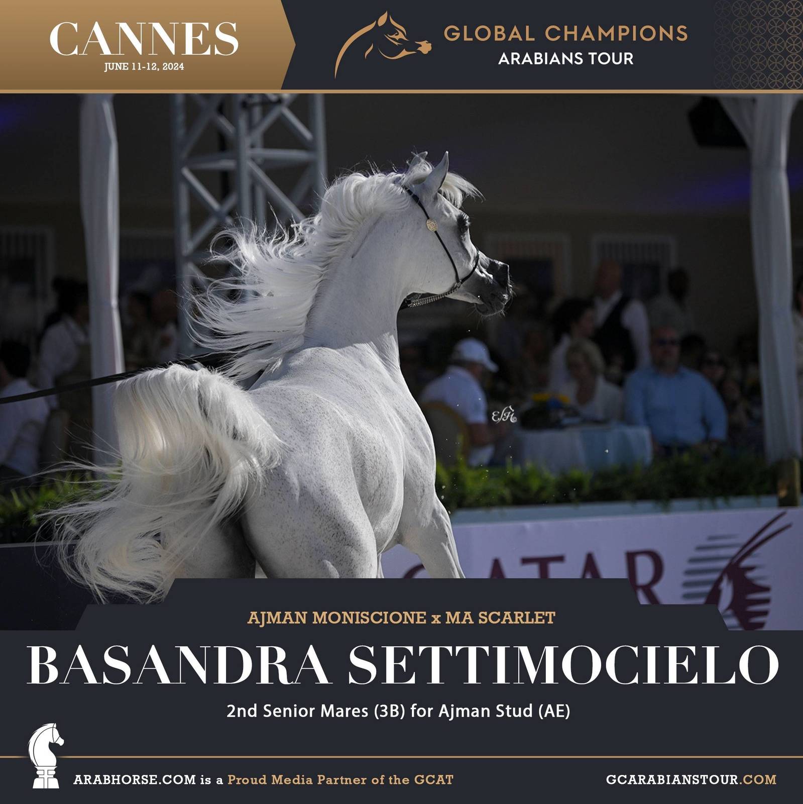 Photos: 2024 Qualifying Classes | Global Champions Arabians Tour Cannes