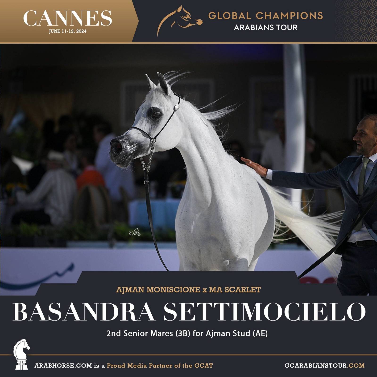 Photos: 2024 Qualifying Classes | Global Champions Arabians Tour Cannes