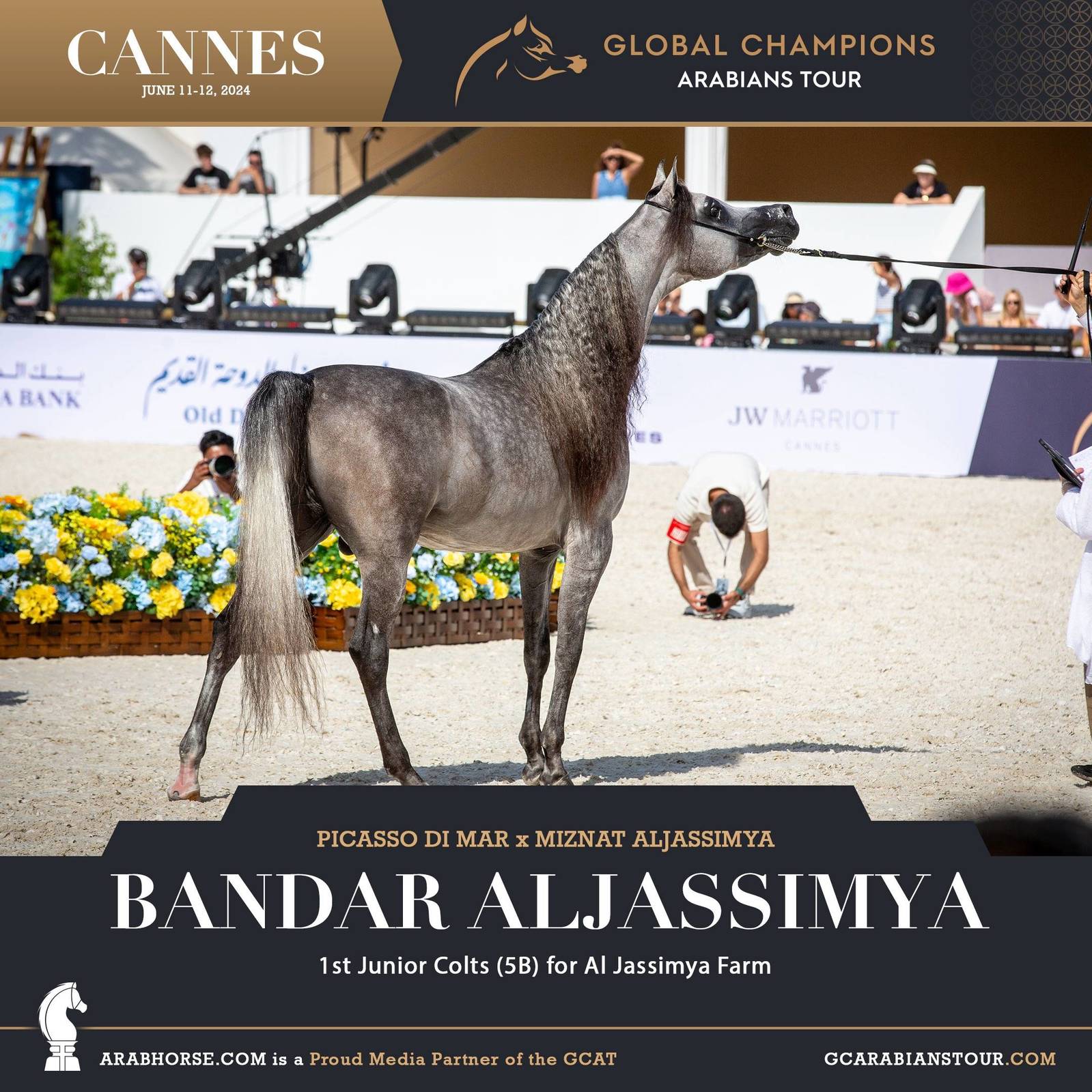 Photos: 2024 Qualifying Classes | Global Champions Arabians Tour Cannes