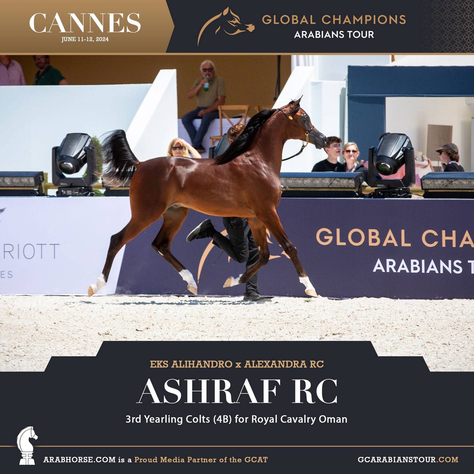 Photos: 2024 Qualifying Classes | Global Champions Arabians Tour Cannes