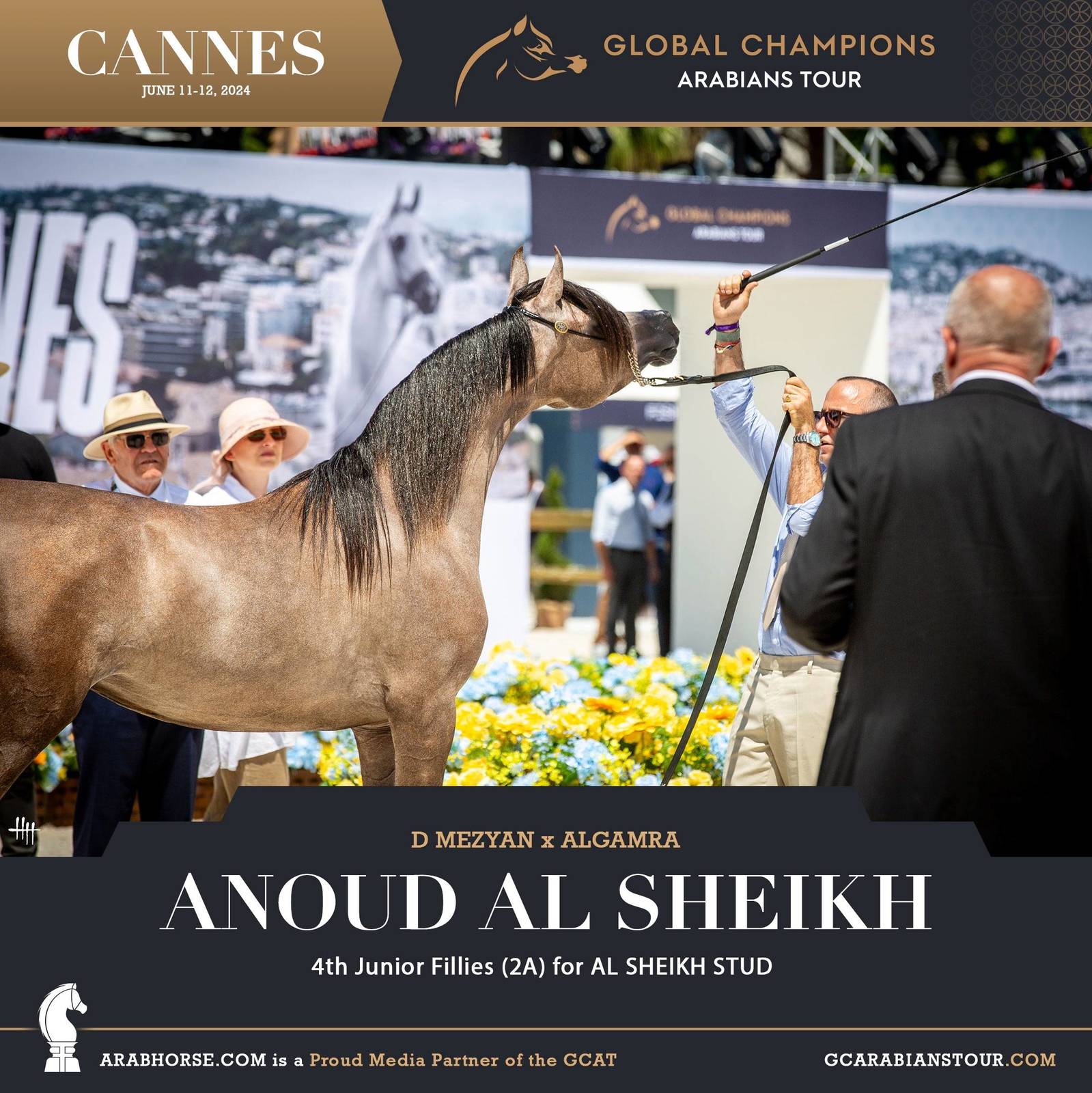 Photos: 2024 Qualifying Classes | Global Champions Arabians Tour Cannes