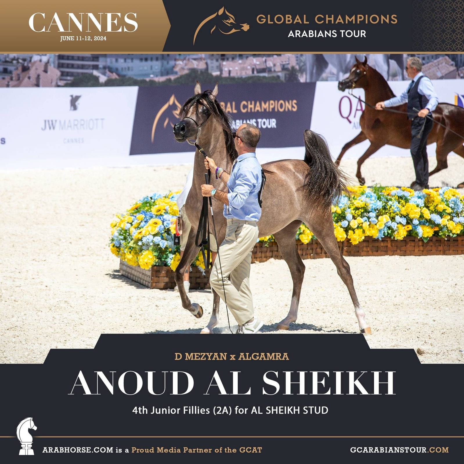 Photos: 2024 Qualifying Classes | Global Champions Arabians Tour Cannes