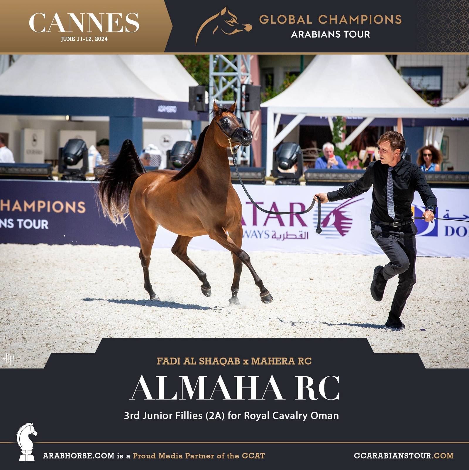 Photos: 2024 Qualifying Classes | Global Champions Arabians Tour Cannes