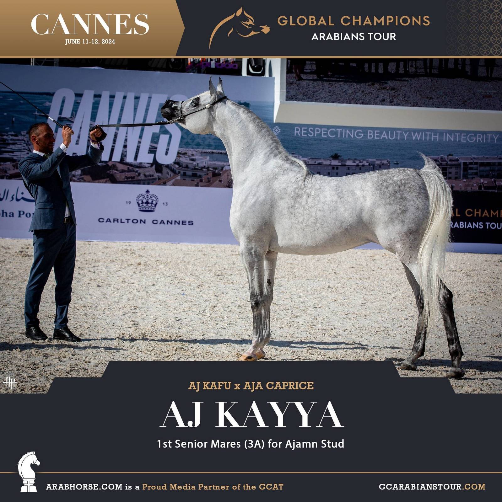 Photos: 2024 Qualifying Classes | Global Champions Arabians Tour Cannes