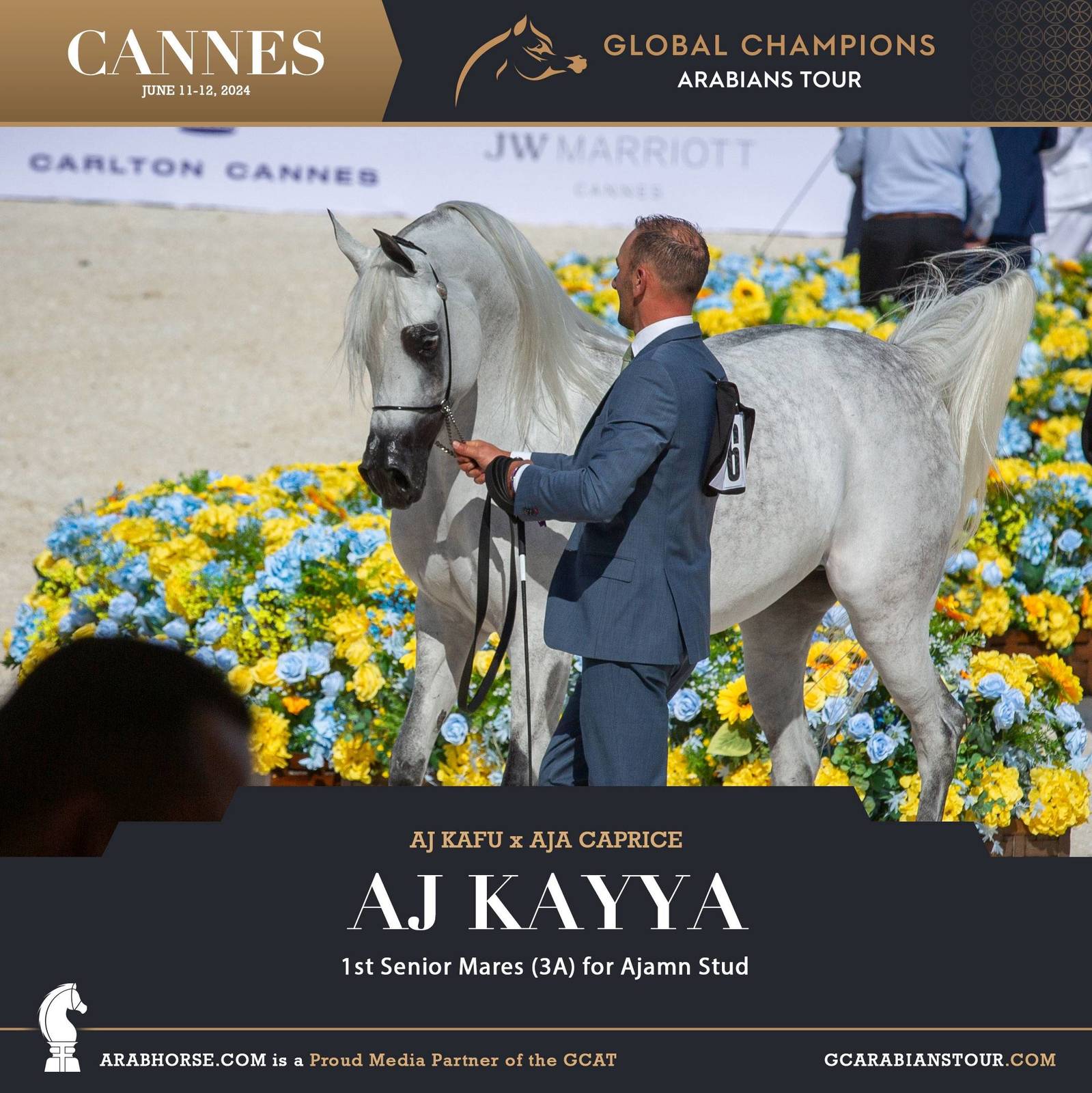 Photos: 2024 Qualifying Classes | Global Champions Arabians Tour Cannes