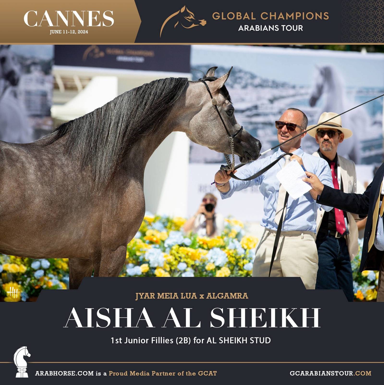 Photos: 2024 Qualifying Classes | Global Champions Arabians Tour Cannes