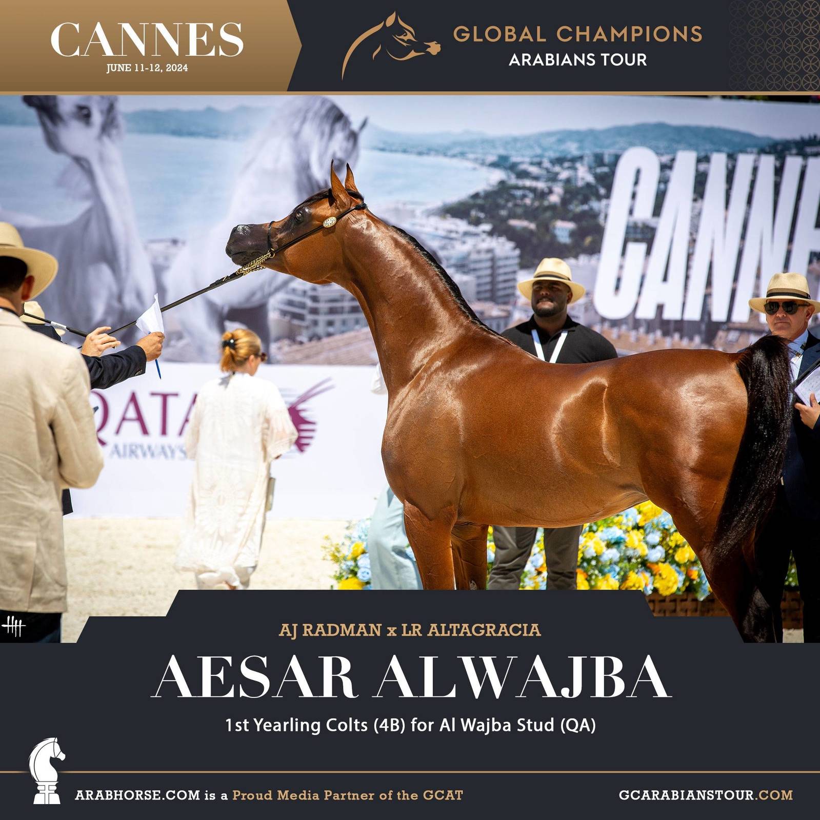 Photos: 2024 Qualifying Classes | Global Champions Arabians Tour Cannes