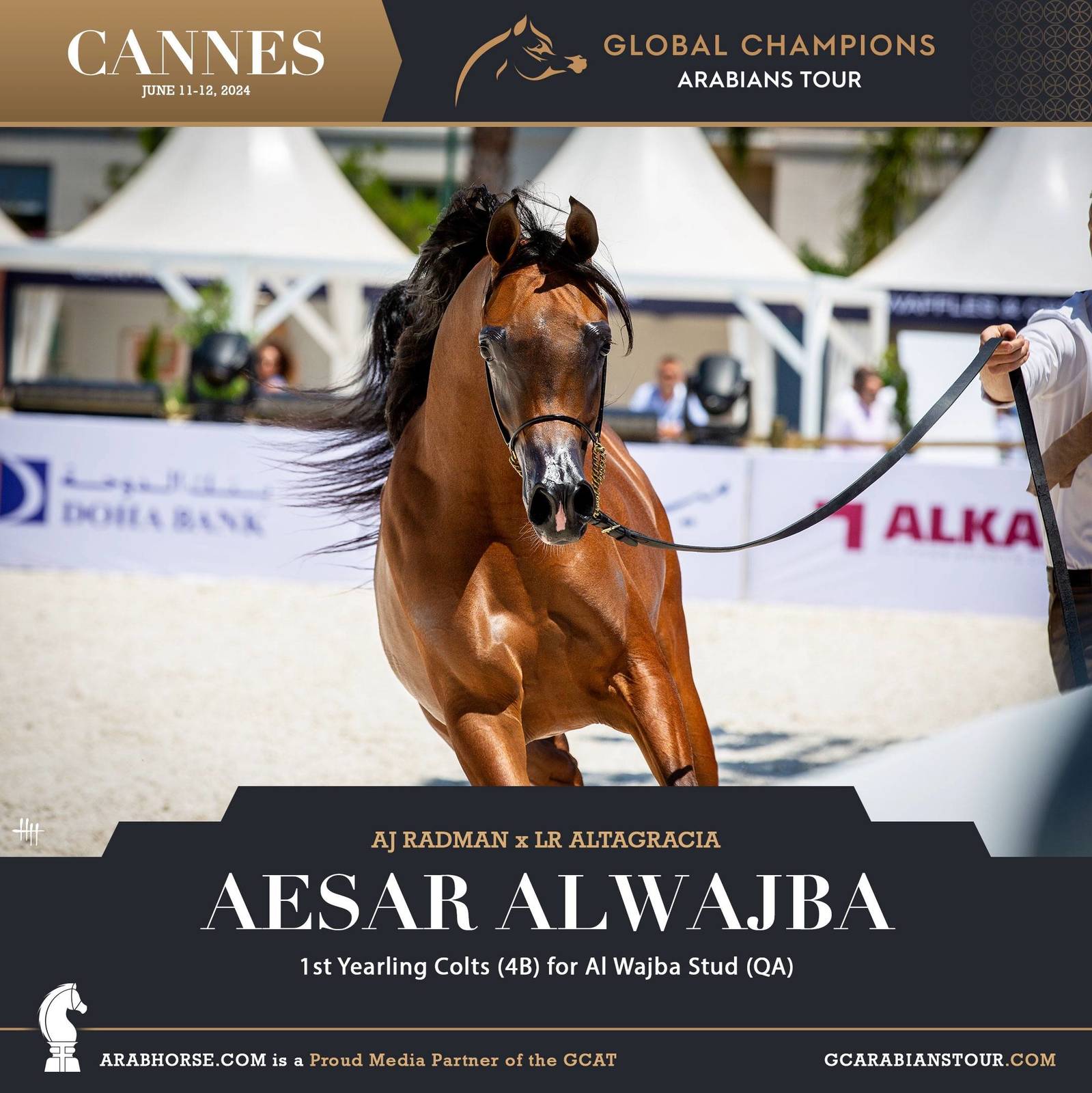 Photos: 2024 Qualifying Classes | Global Champions Arabians Tour Cannes