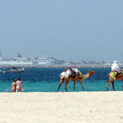 camel-beach.jpg