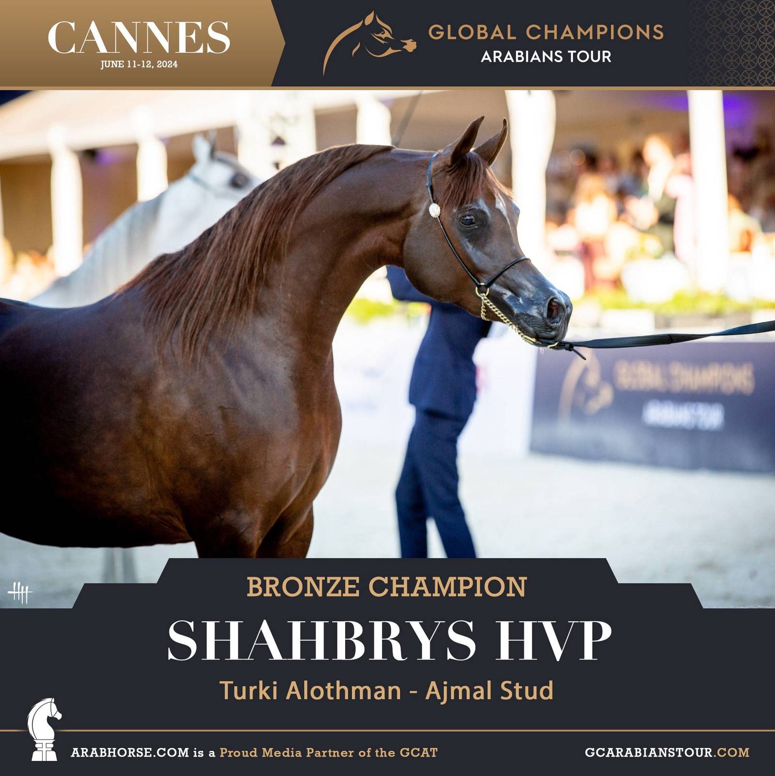 PHOTOS FROM DAY 2: THE CHAMPIONS FROM CANNES! 