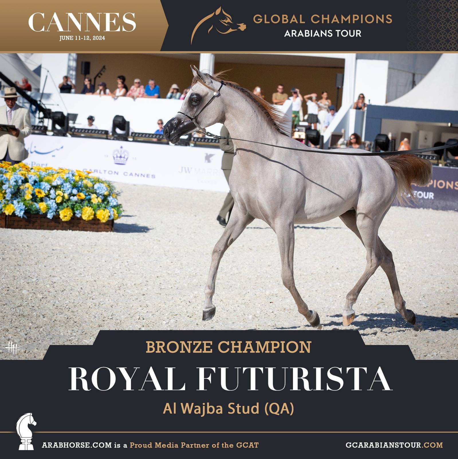 PHOTOS FROM DAY 2: THE CHAMPIONS FROM CANNES! 