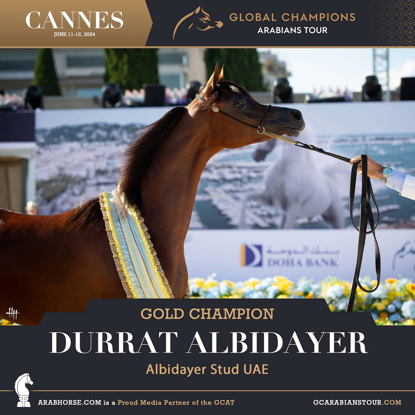 PHOTOS FROM DAY 2: THE CHAMPIONS FROM CANNES! 