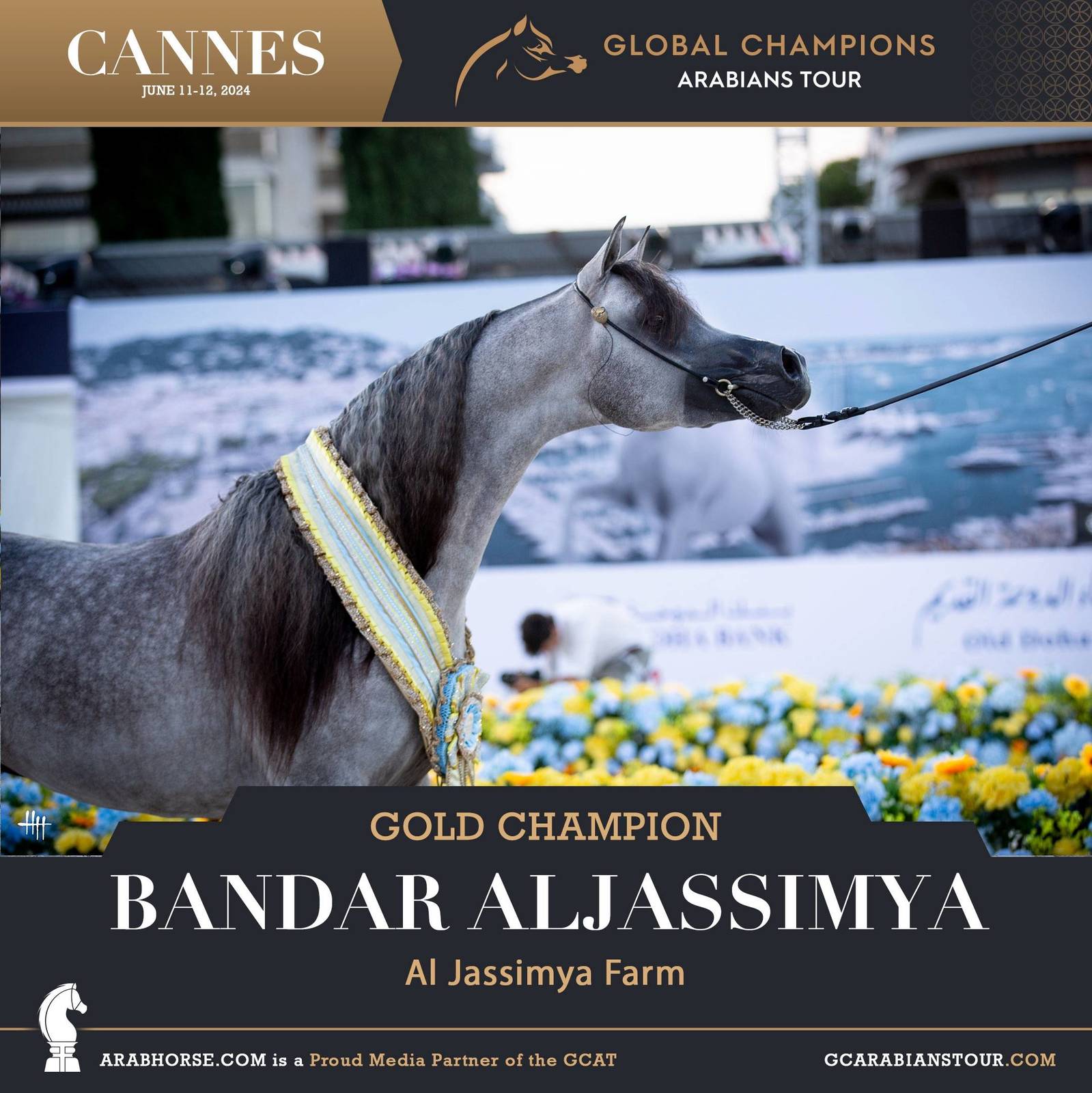 PHOTOS FROM DAY 2: THE CHAMPIONS FROM CANNES! 