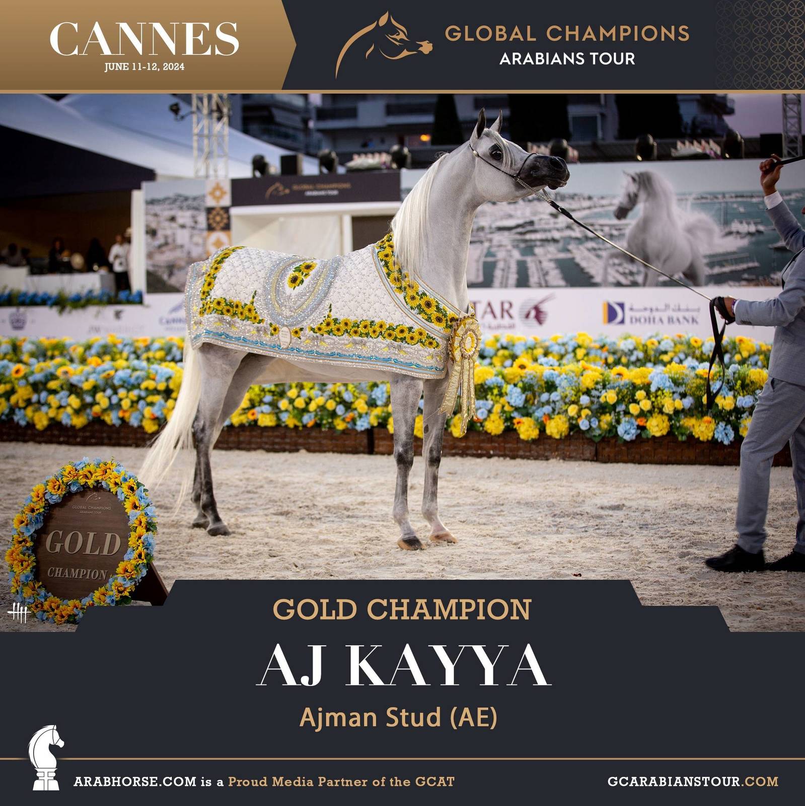 PHOTOS FROM DAY 2: THE CHAMPIONS FROM CANNES! 