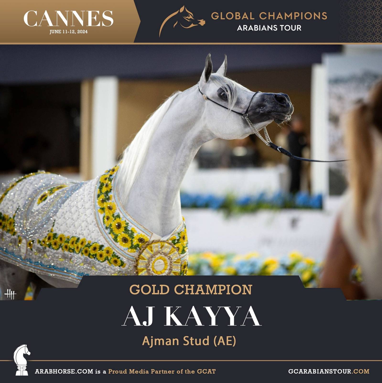 PHOTOS FROM DAY 2: THE CHAMPIONS FROM CANNES! 