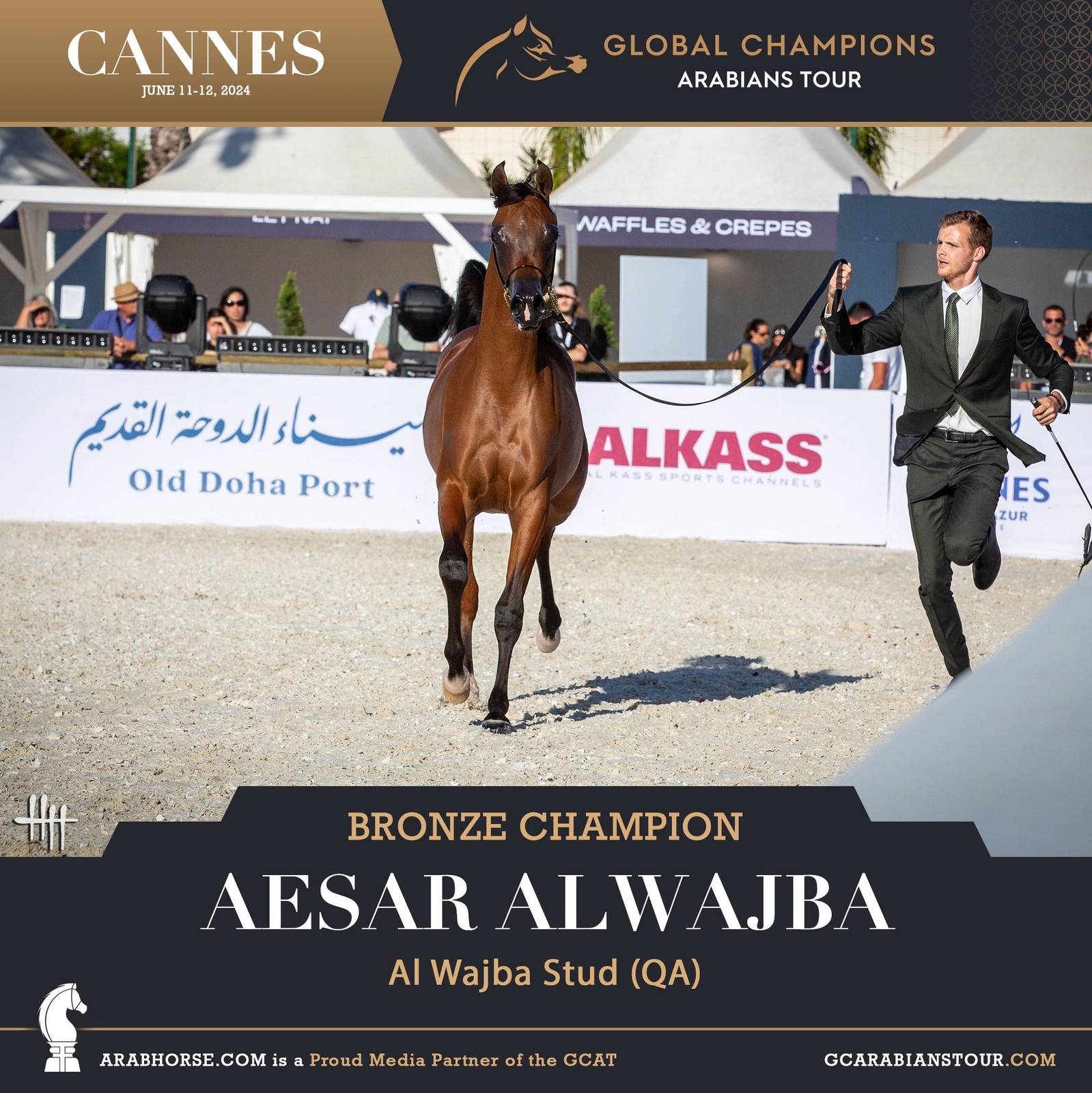 PHOTOS FROM DAY 2: THE CHAMPIONS FROM CANNES! 