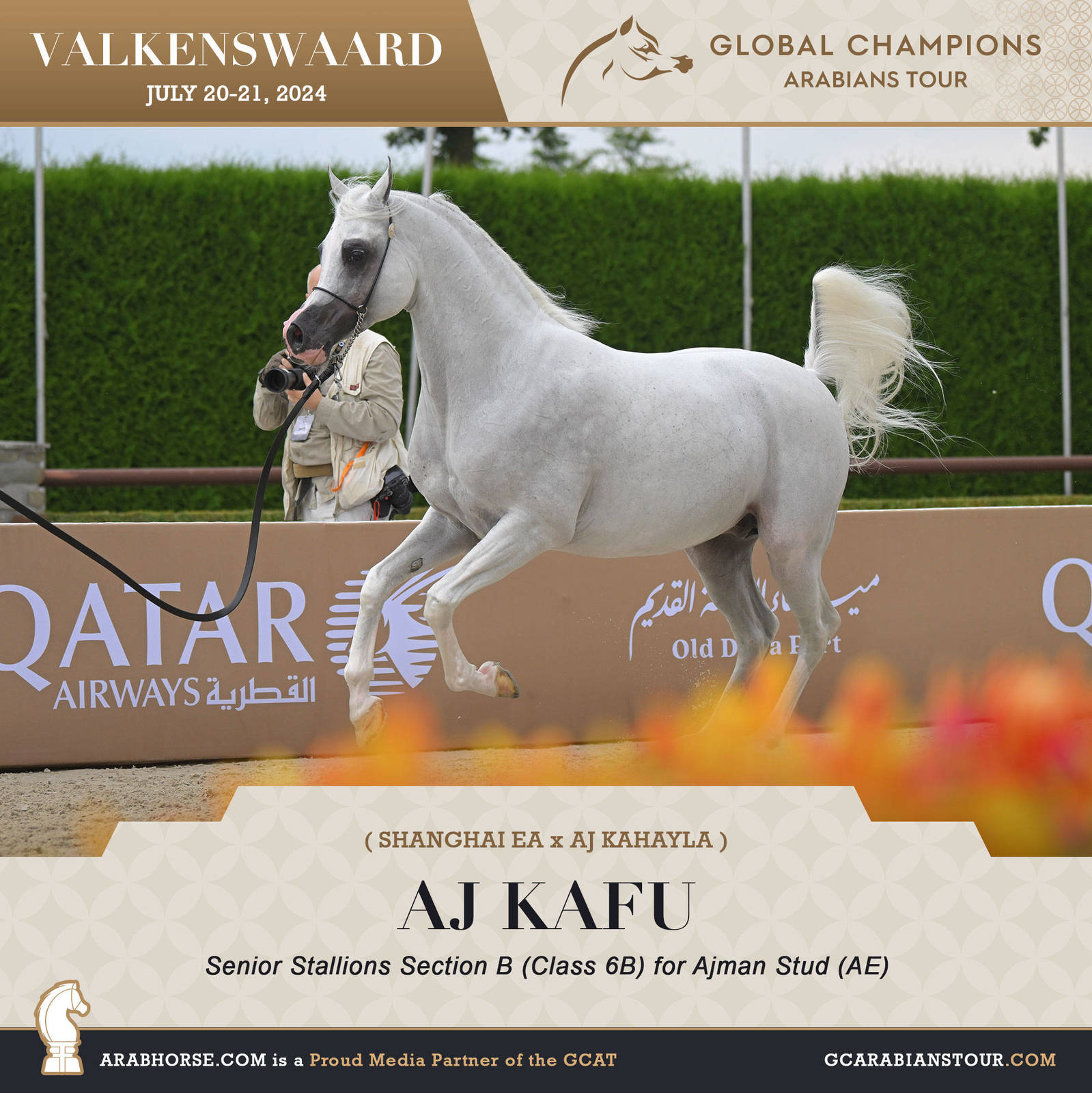 Photos of the Qualifying Classes Valkenswaard GCAT