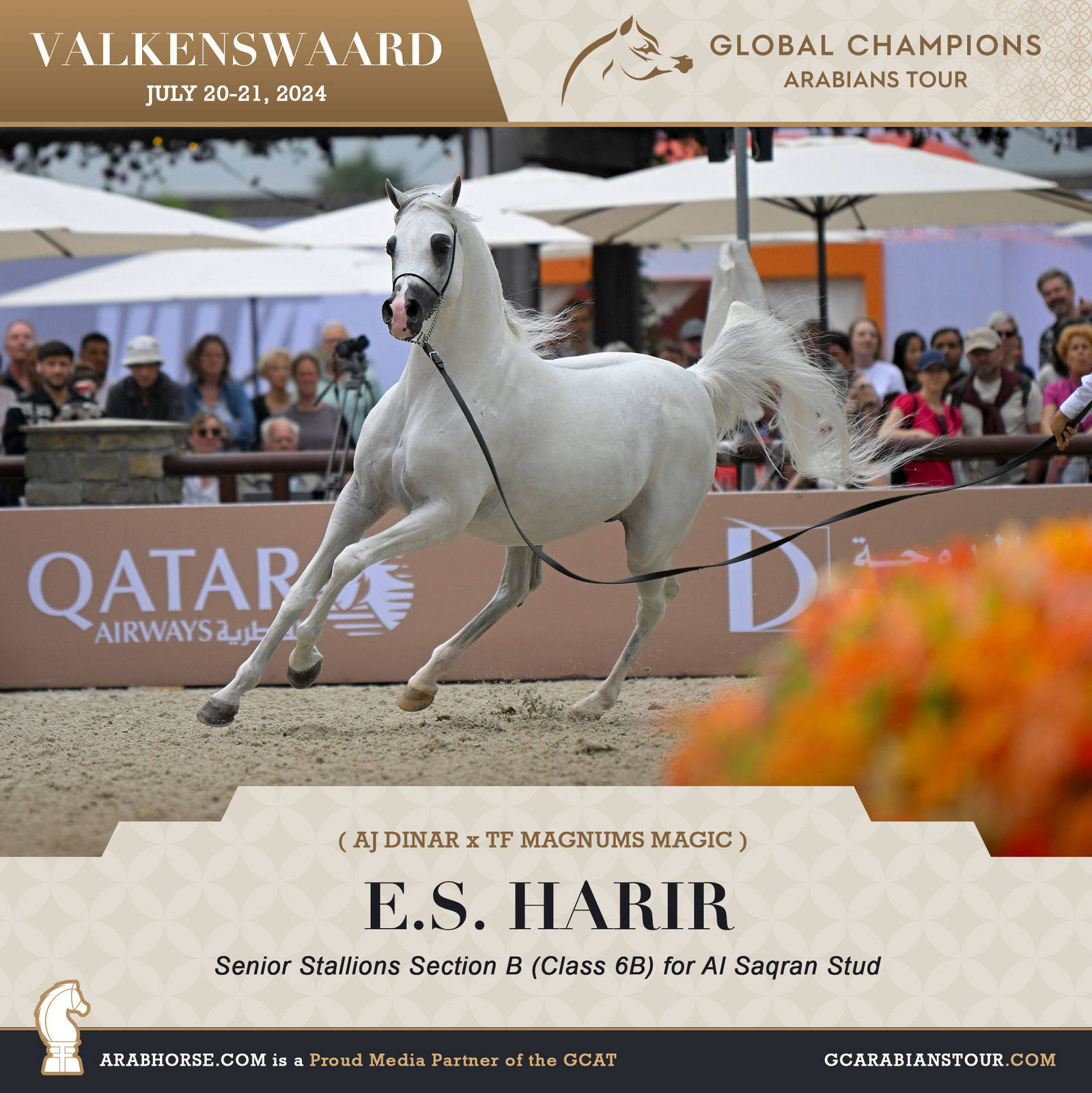 Photos of the Qualifying Classes Valkenswaard GCAT