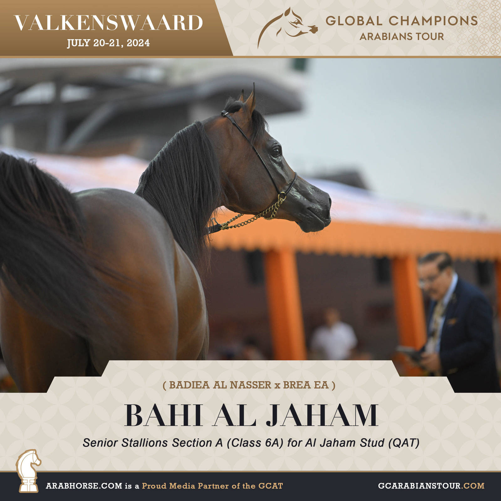 Photos of the Qualifying Classes Valkenswaard GCAT