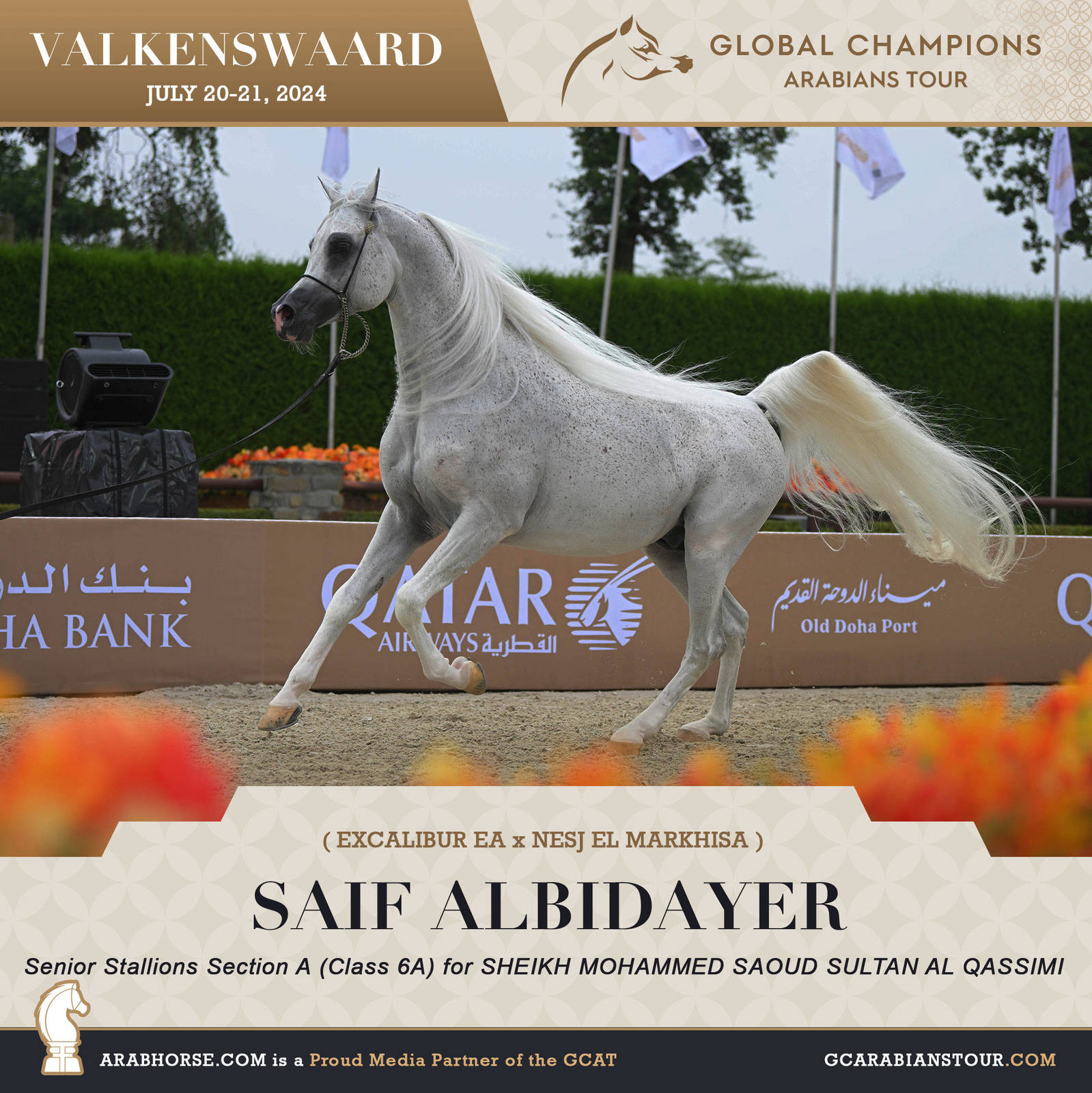 Photos of the Qualifying Classes Valkenswaard GCAT