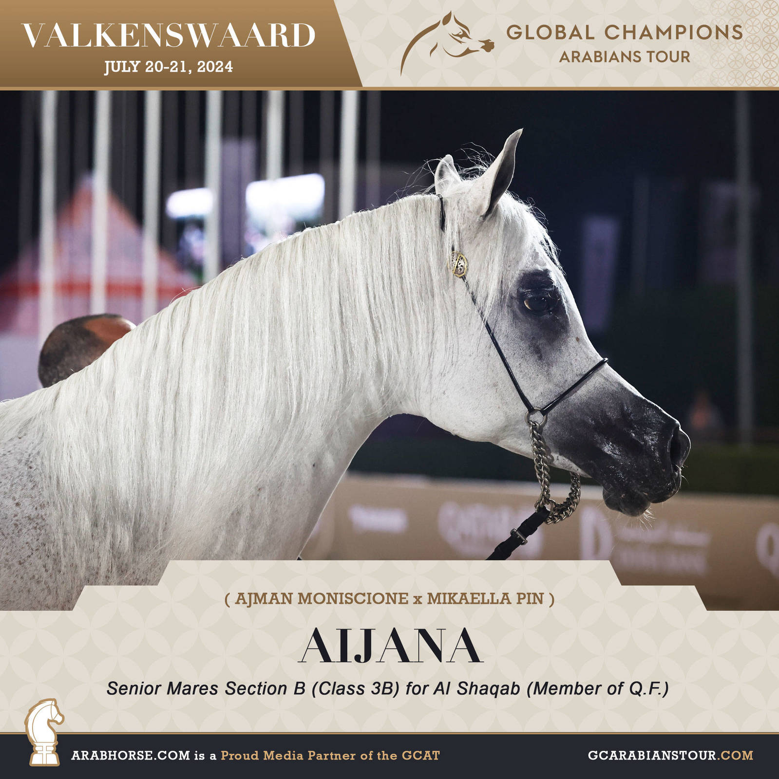 Photos of the Qualifying Classes Valkenswaard GCAT