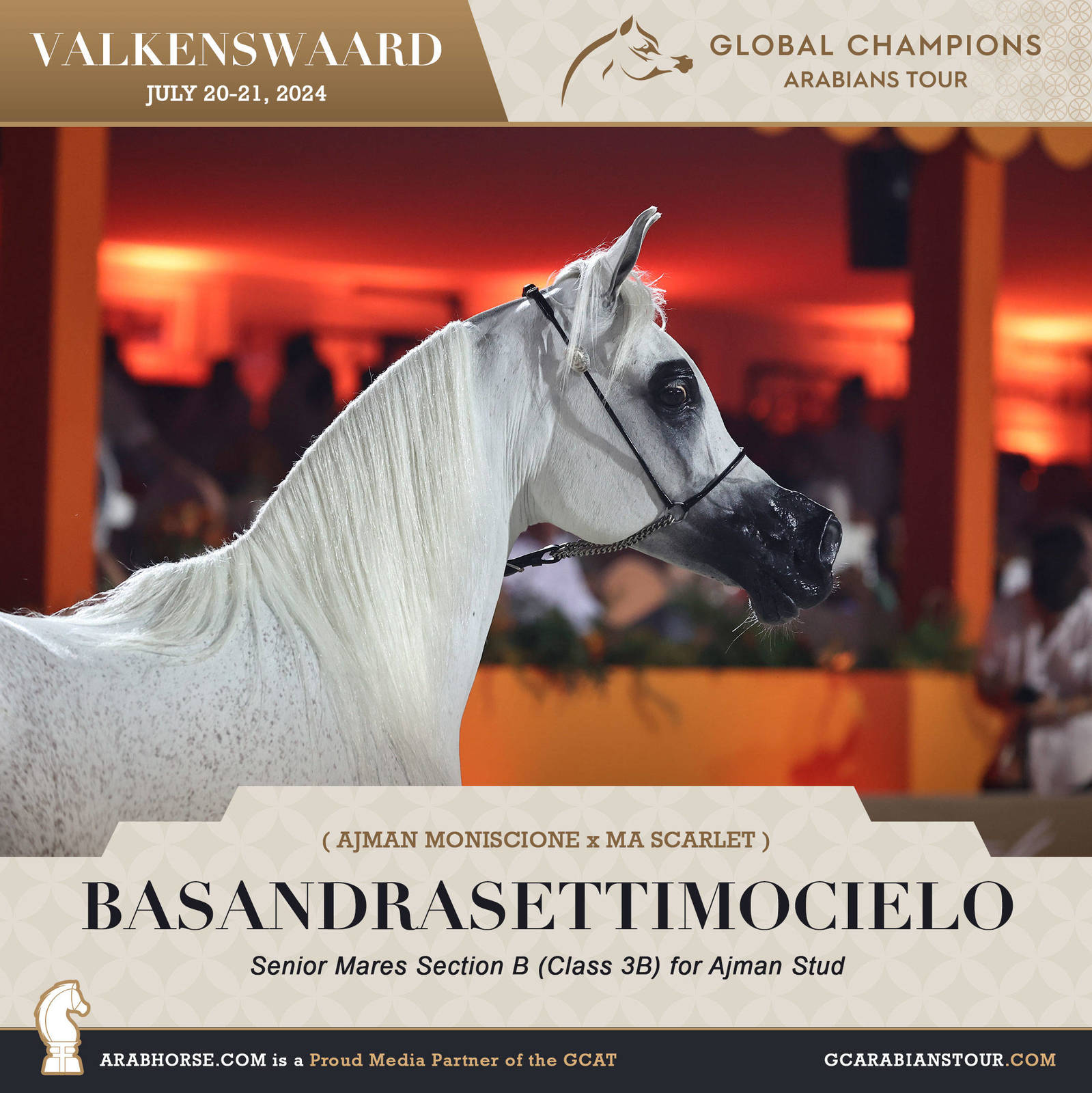 Photos of the Qualifying Classes Valkenswaard GCAT