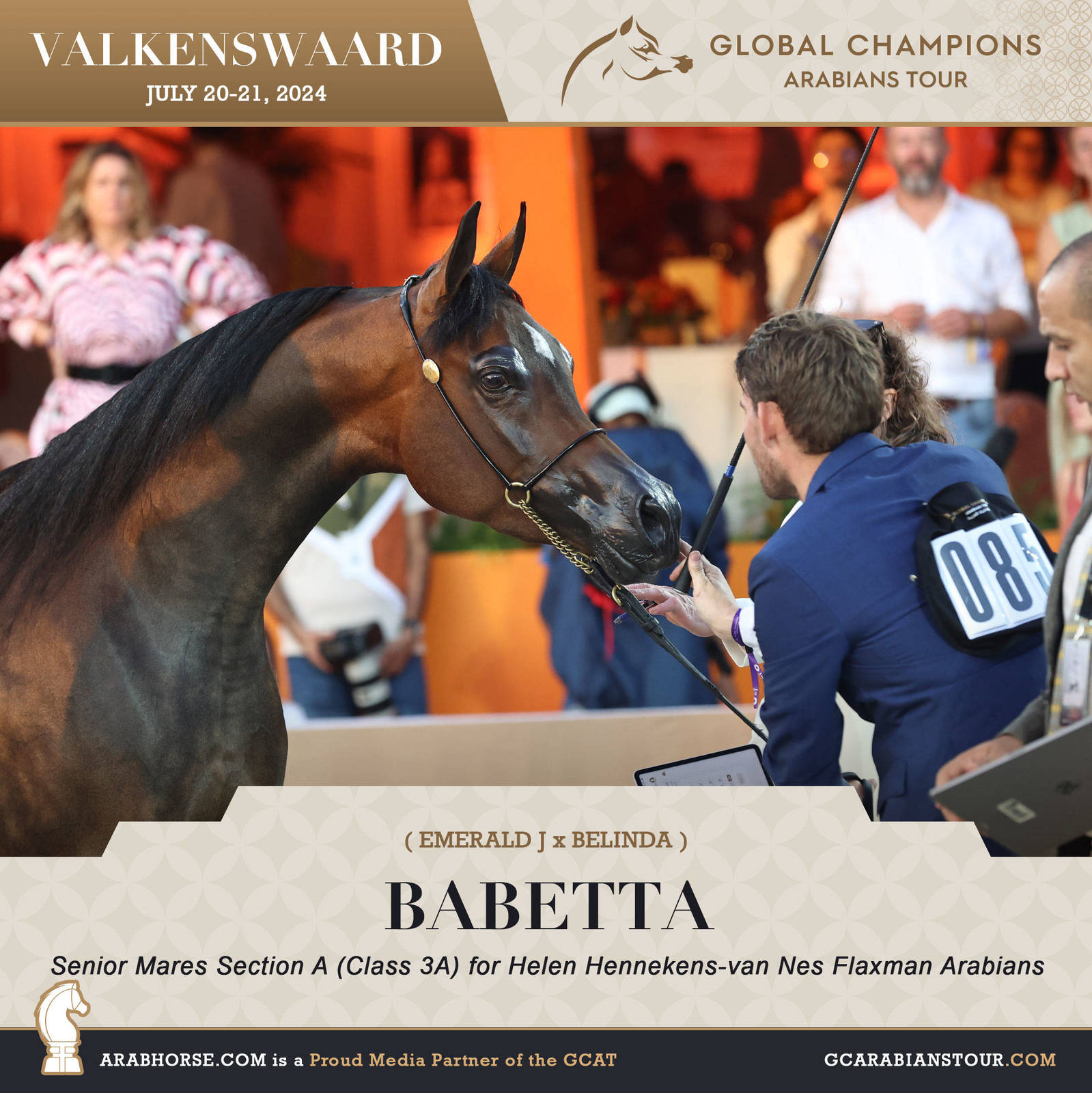 Photos of the Qualifying Classes Valkenswaard GCAT