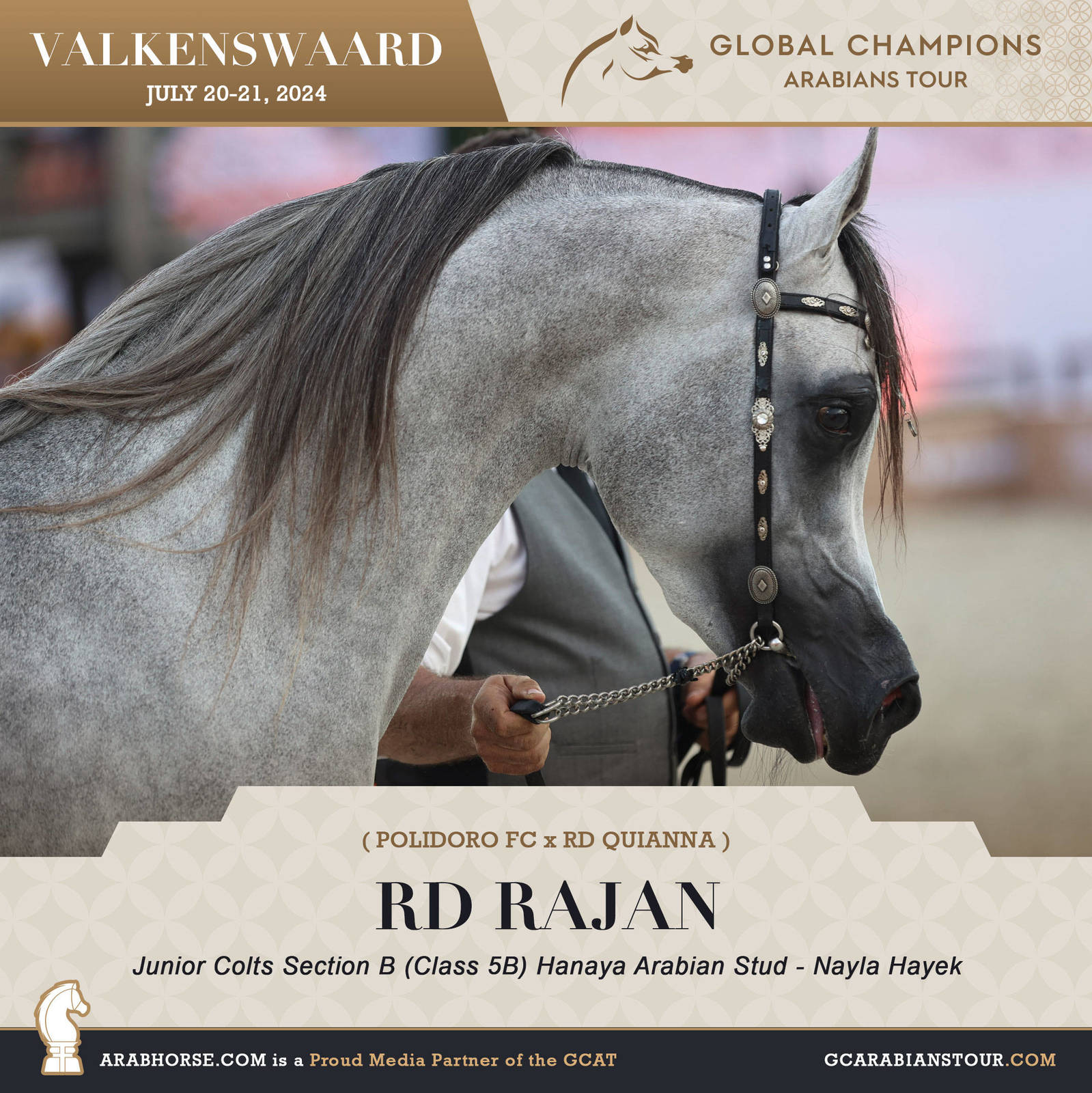 Photos of the Qualifying Classes Valkenswaard GCAT